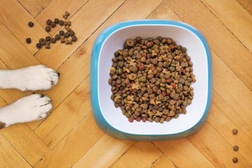 Pet Food & Care