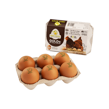 Abhi Gold+ Brown Eggs