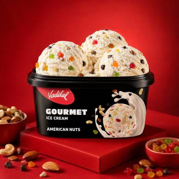 Vadilal Gourmet American Nuts Ice Cream Tub
