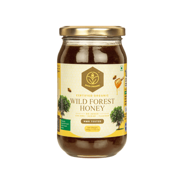 Shiva Organic Raw Wild Forest Honey